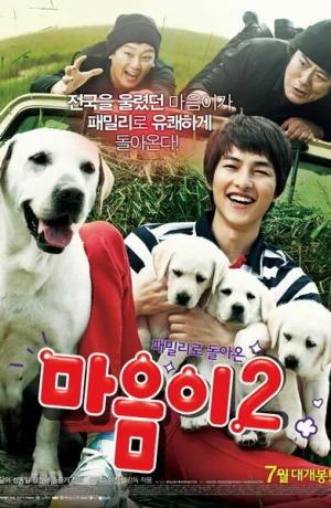 Дорама Искренние лапы 2 смотреть онлайн бесплатно